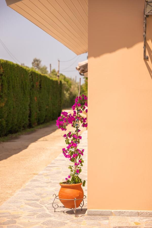 Kourouta Villas Amaliada 外观 照片